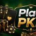 PLAY PKR GAME